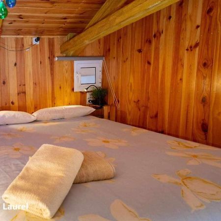 La Casa Del Druida Διαμέρισμα Μάλαγα Εξωτερικό φωτογραφία