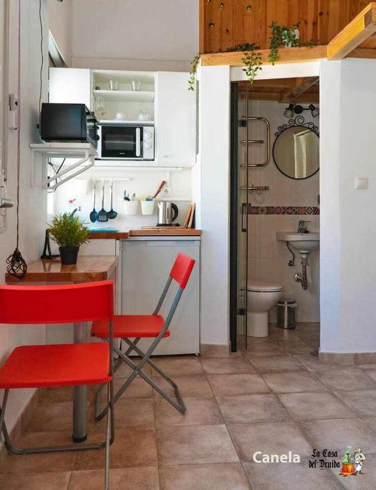 La Casa Del Druida Διαμέρισμα Μάλαγα Εξωτερικό φωτογραφία